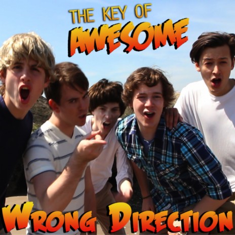 Wrong Direction (Parody of One Direction's "What Makes You Beautiful") | Boomplay Music