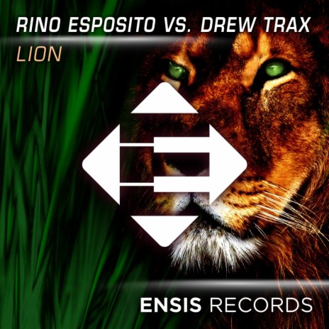 Lion (Original Mix) ft. Drew Trax | Boomplay Music