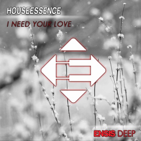 I Need Your Love (Original Mix) | Boomplay Music