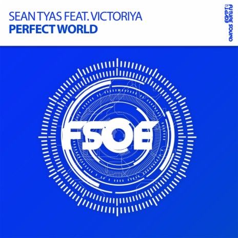 Perfect World (Radio Edit) ft. Victoriya | Boomplay Music