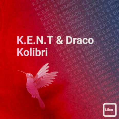 Kolibri (Original Mix) ft. Draco | Boomplay Music