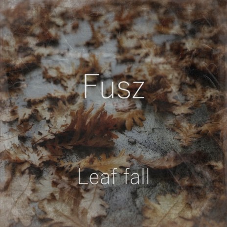 Leaf Fall | Boomplay Music