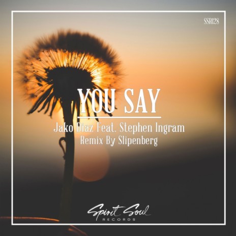 You Say (Radio Mix) ft. Stephen Ingram | Boomplay Music