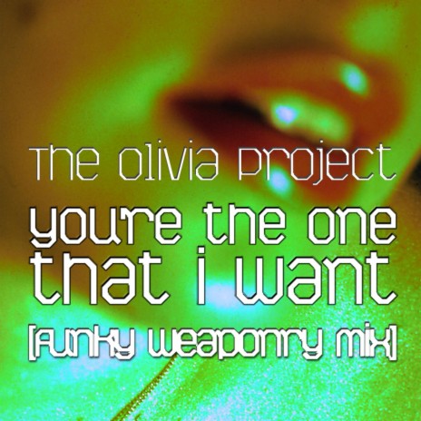 You're The One That I Want (Funky Weaponry Mix)