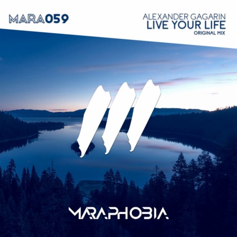 Live Your Life (Original Mix)