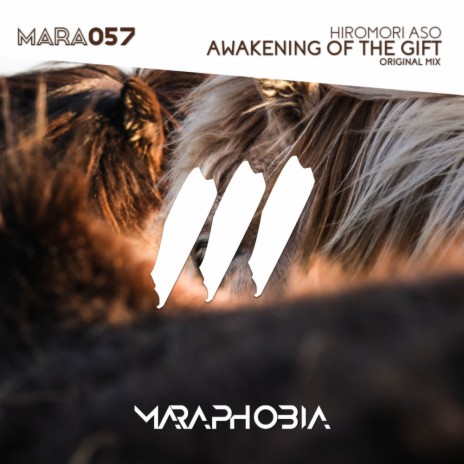 Awakening Of The Gift (Original Mix)