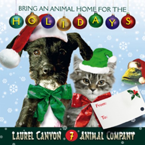 Bring An Animal Home For The Holidays