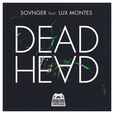 Dead Head (Tillaux Remix) ft. Lux Montes