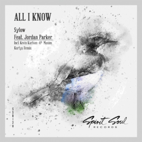 All I Know (Radio Mix) ft. Jordan Parker | Boomplay Music