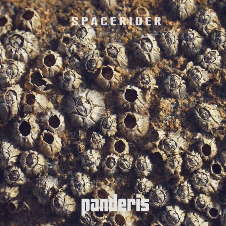 Spacerider | Boomplay Music