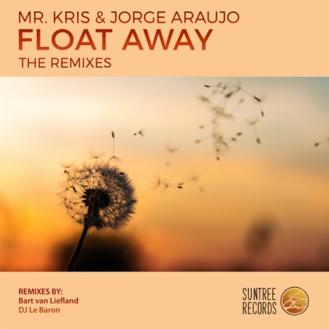 Float Away (The Remixes) (Bart van Liefland Remix) ft. Jorge Araujo | Boomplay Music