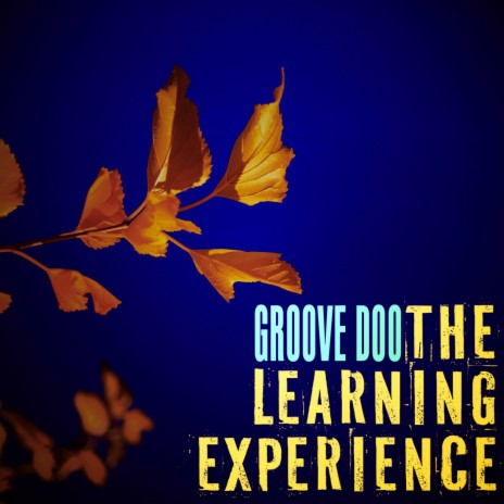The Learning Experience | Boomplay Music