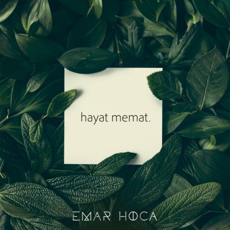 Hayat Memat | Boomplay Music