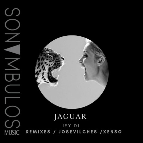 Jaguar (Jose Vilches Remix) ft. Jose Vilches