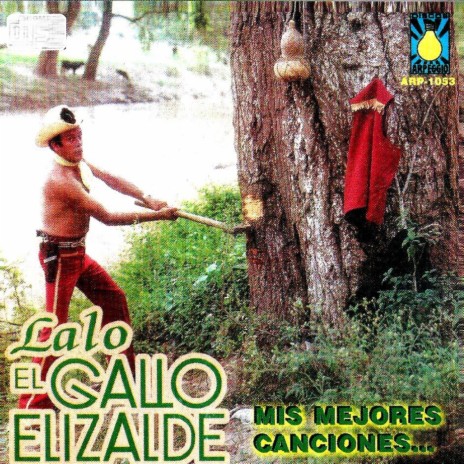 Ayer Baje De La Sierra (Lalo El Gallo Elizalde) | Boomplay Music