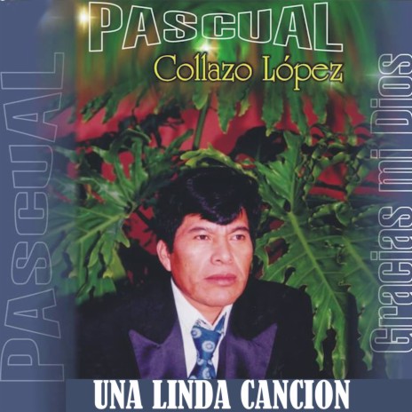 Una Linda Cancion | Boomplay Music