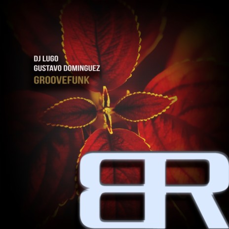 Groovefunk (Original Mix) ft. Gustavo Dominguez