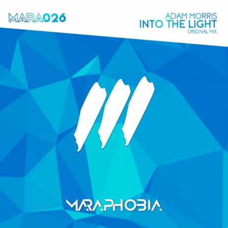 Into The Light (Original Mix) | Boomplay Music