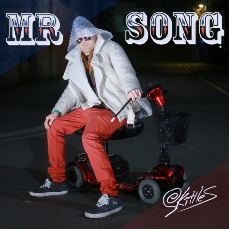 Mr Song (Original Mix)