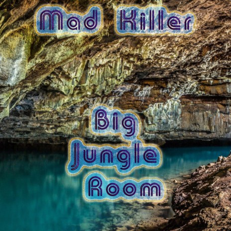 Big Jungle Room (Original Mix) | Boomplay Music