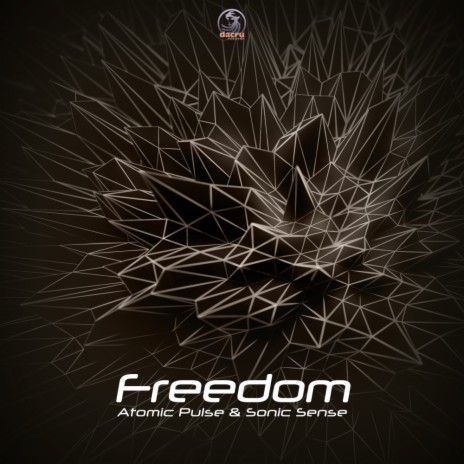 Freedom (Original Mix) ft. Sonic Sense | Boomplay Music