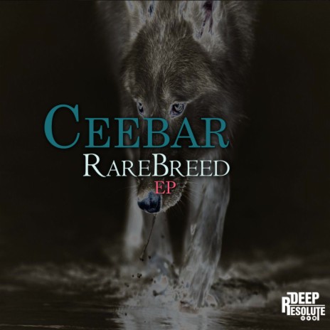 RareBreed (AfroTech Mix)