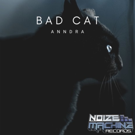 Bad Cat (Original Mix) | Boomplay Music