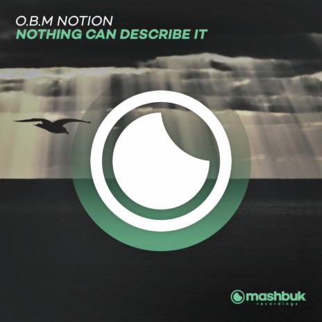 Nothing Can Describe It (Original Mix) | Boomplay Music