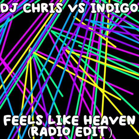 Feels Like Heaven (Radio Edit) ft. Indigo | Boomplay Music