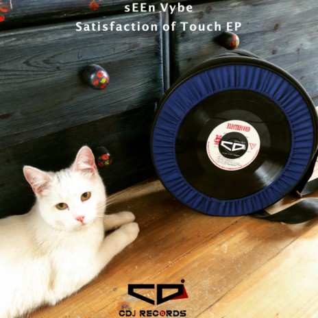 Satisfaction of Touch (Original Mix)