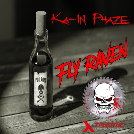 Fly Raven (Original Mix)