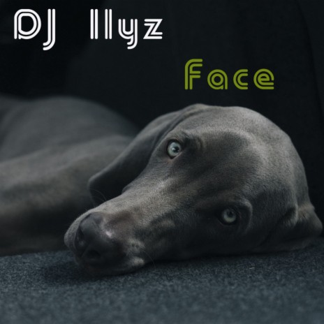 Face (Original Mix)