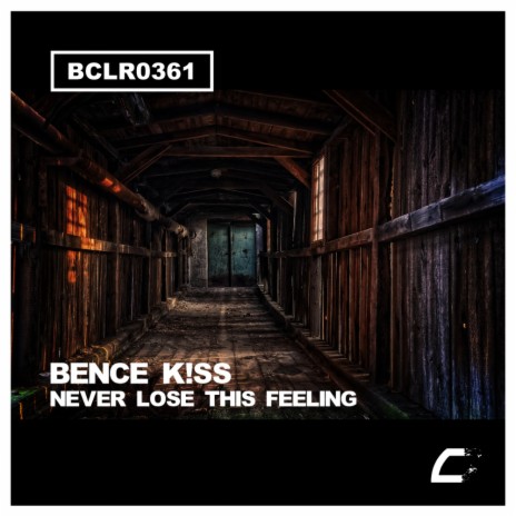 Never Lose This Feeling (Original Mix) | Boomplay Music