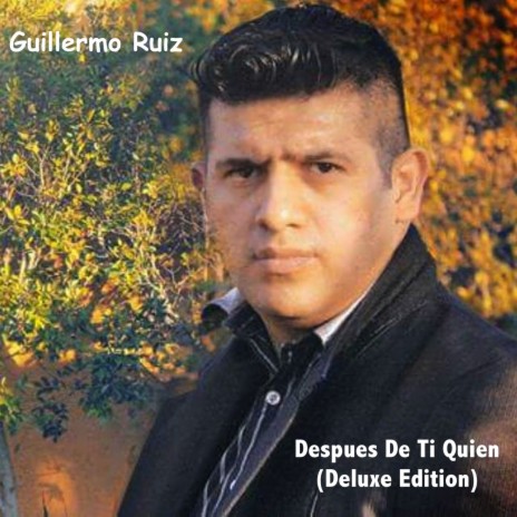 Guillermo Ruiz Despues De Ti Quien | Boomplay Music