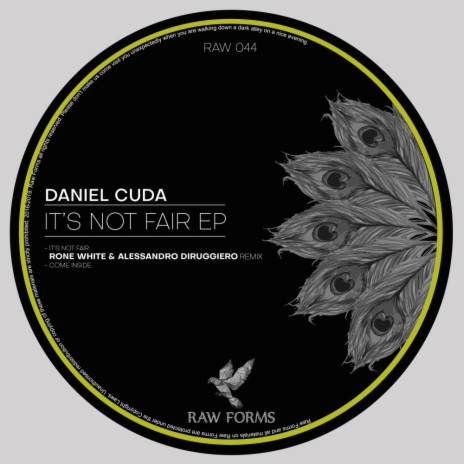 It's Not Fair (Original Mix) | Boomplay Music