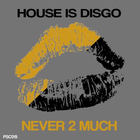 Never 2 Much (Original Mix) | Boomplay Music