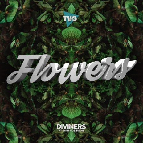 Flowers (Radio Edit) ft. Dom Robinson | Boomplay Music