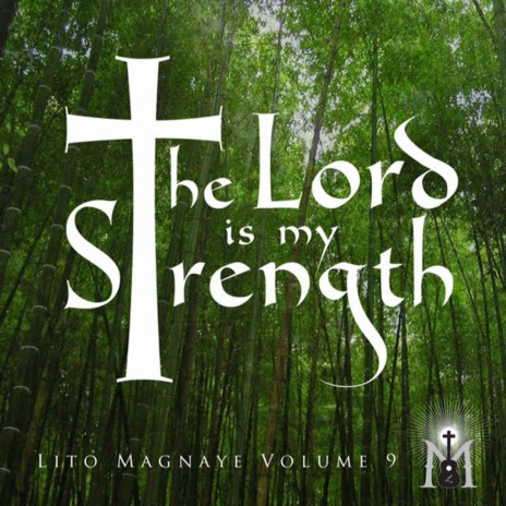 The Lord Is My Strength - M-1 | Boomplay Music