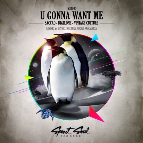 U Gonna Want Me (Original Mix) ft. Biatlone & Vintage Culture | Boomplay Music