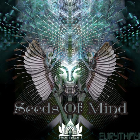 Seeds of Mind ft. Megan Lowman | Boomplay Music