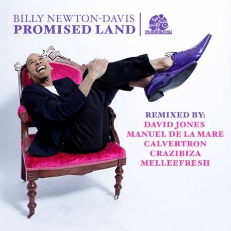 Promised Land (David Jones Instrumental Remix)