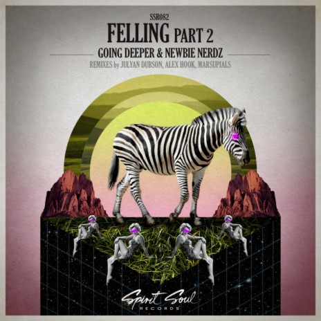 Feeling, Pt. 2 (Alex Hook Remix) ft. Newbie Nerdz