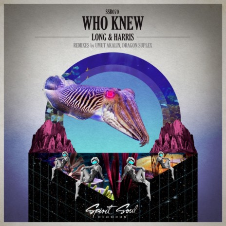 Who Knew (Umut Akalin Remix)