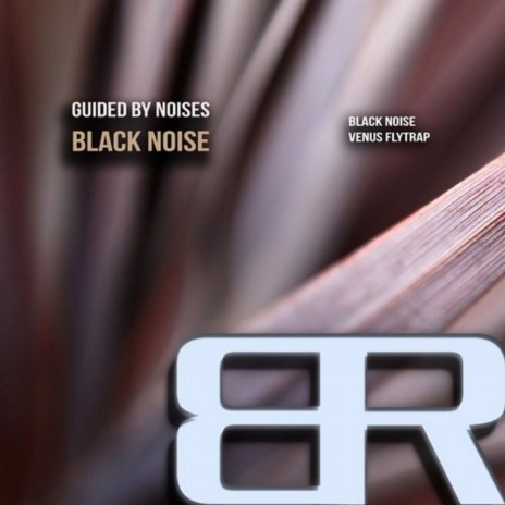 Black Noise (Original Mix) | Boomplay Music