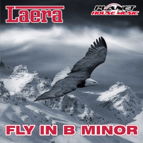 Fly In B Minor (Radio Mix) | Boomplay Music