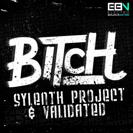 Bitch! (Original Mix) ft. Validated