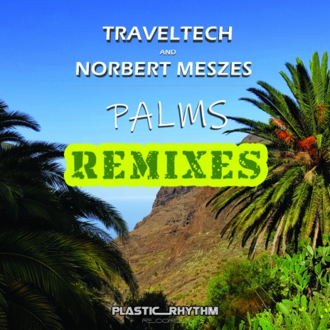 Palms (Amotek Remix) ft. Norbert Meszes