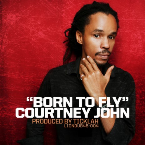Born To Fly (Original Mix) | Boomplay Music