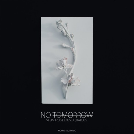 No Tomorrow (Original Mix) ft. Enes Beskardes | Boomplay Music