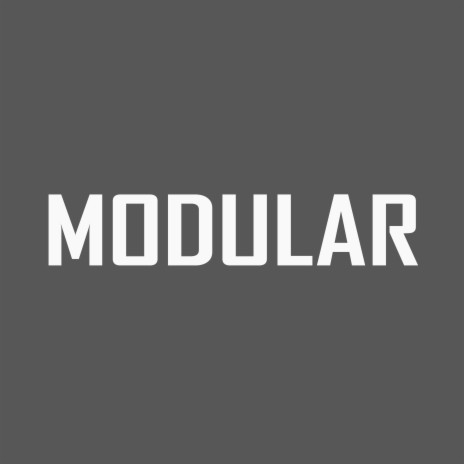 Modular (Radio Edit) | Boomplay Music